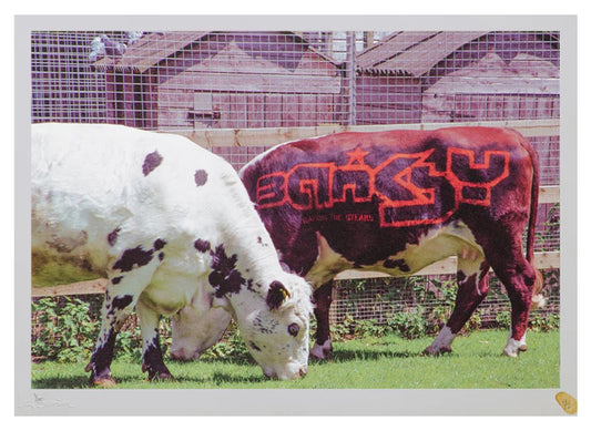 How to get ahead in Advertising