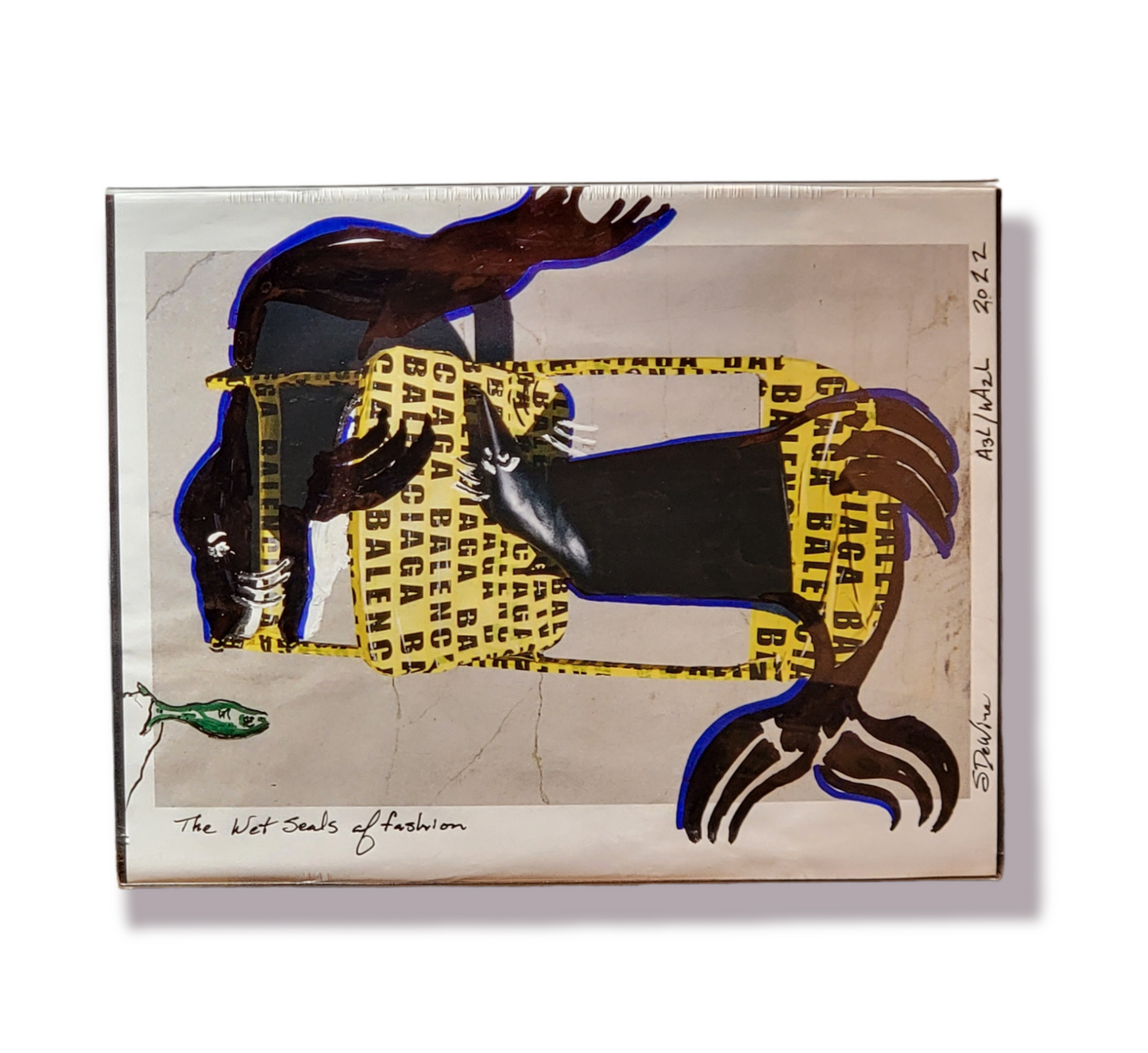 The Wet Seals of Fashion